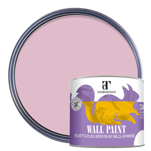 Thorndown-Wall-Paint-750-Paint-Colour-pack-shot-Cheddar_Pink
