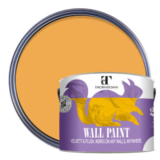 Thorndown-Wall-Paint-2500-Paint-Colour-pack-shot-Ginger_Gold
