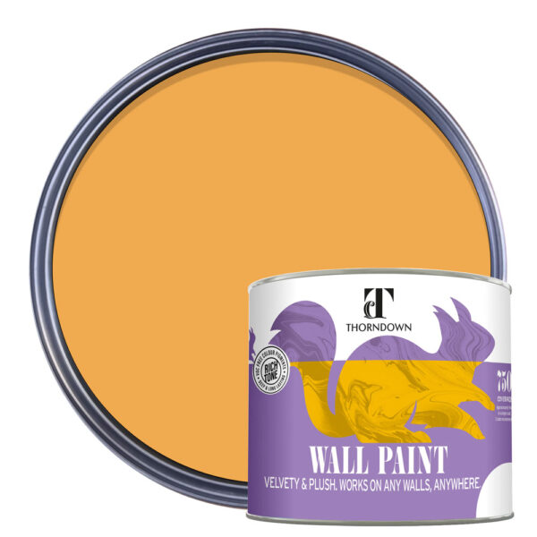 Thorndown-Wall-Paint-750-Paint-Colour-pack-shot-Ginger_Gold