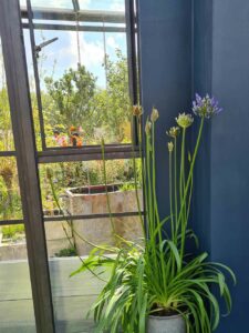 The-Flood-Resilient-Garden_Chelsea-2024_Naomi-Slade_Thorndown-Bishop-Blue-Wood-Paint_3