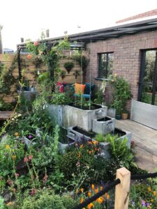 The-Flood-Resilient-Garden_Chelsea-Flower-Show-2024_1
