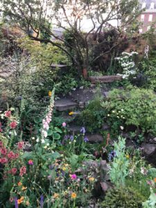 The-Flood-Resilient-Garden_Chelsea-Flower-Show-2024_10