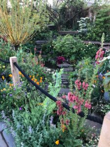 The-Flood-Resilient-Garden_Chelsea-Flower-Show-2024_11