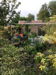 The-Flood-Resilient-Garden_Chelsea-Flower-Show-2024_4