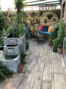 The-Flood-Resilient-Garden_Chelsea-Flower-Show-2024_5