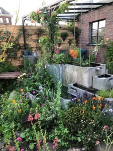 The-Flood-Resilient-Garden_Chelsea-Flower-Show-2024_6