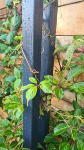 Thorndown-RAL-7021-Black-Grey-Wood-Paint-on-pergola_flood-Resilient-Garden