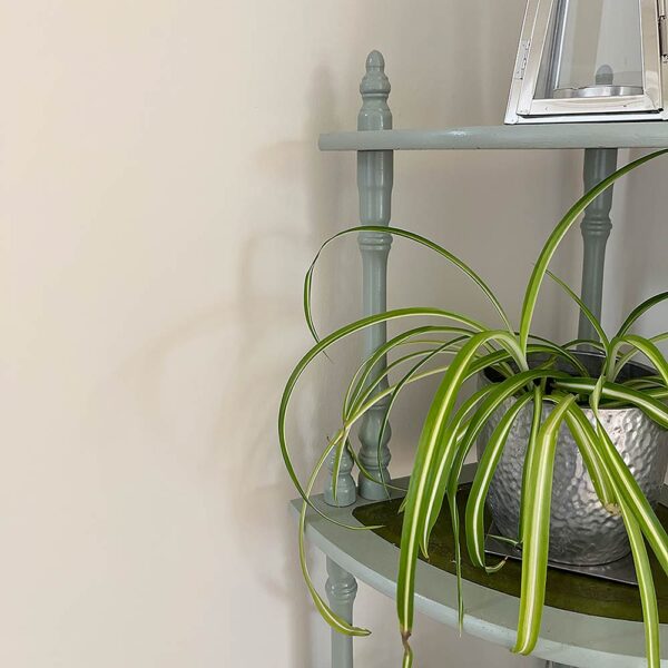 Thorndown-Whey-White-Wall-Paint-with-Old-Sage-Green-Wood-Paint_sq