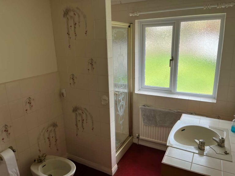 Bathroom-before_3